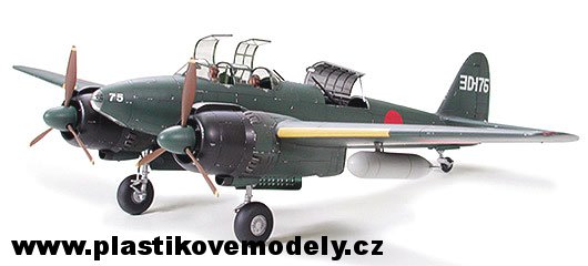 Nakajima J1N1-Sa Gekko Type 11 KOU (Tamiya 1:48)